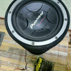 Pioneer Champion Series Sabwuf