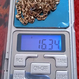 gyzyl boýun kordinal