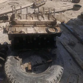 maz