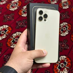 12 PRO MAX 256 GB GOLD