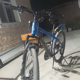 skorostnoy tigir poçti taze