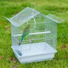 popugay setka papugay