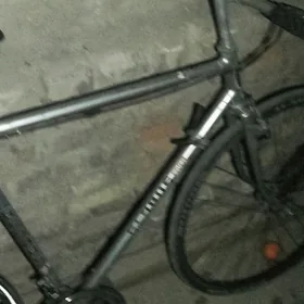 Sportivnyi velik