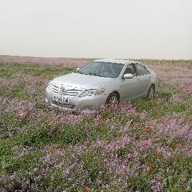 Toyota Camry 2010