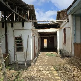 Satlyk  howly jaý