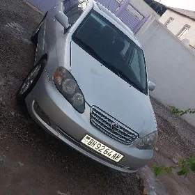 Toyota Corolla 2007