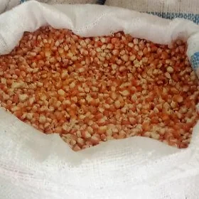 Mekge Tohumluk