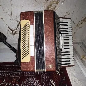 Akkardion