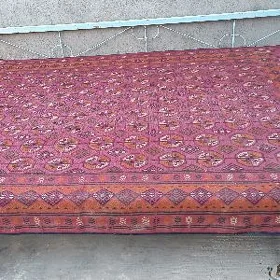 палас