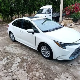 Toyota Corolla 2019