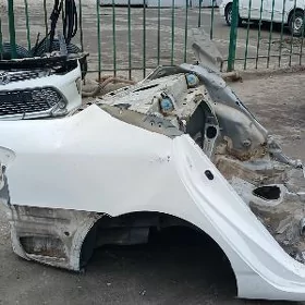 Sag krylo