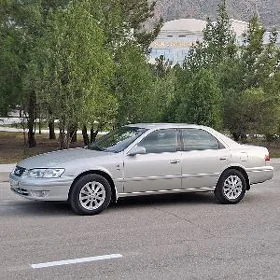 Toyota Camry 2001