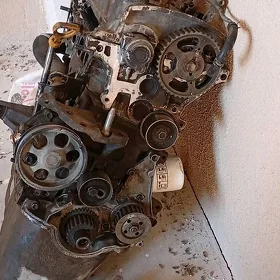 tercel matory
