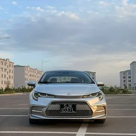 Toyota Corolla 2021