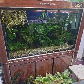 akwarium ullar