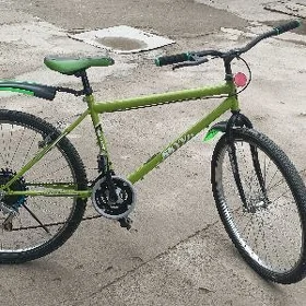  Tigir 26lyk arassa