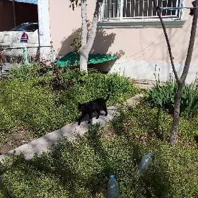 Дом на слом