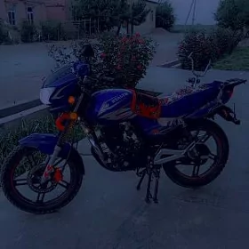 Fekon FK200-14G 2025