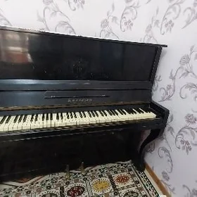 Pianino Belarus