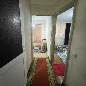 Arenda jay 207