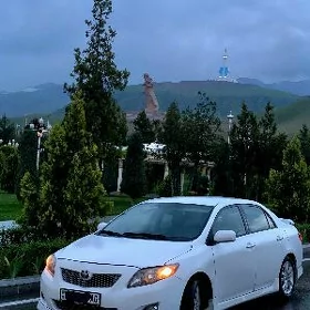 Toyota Corolla 2010