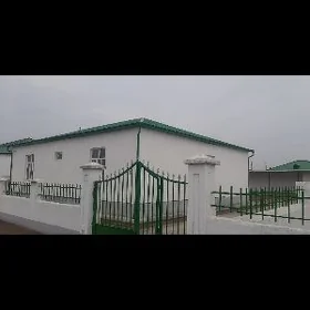 Тазе шахерче