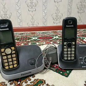 Domaşny