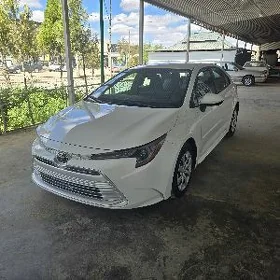Toyota Corolla 2023