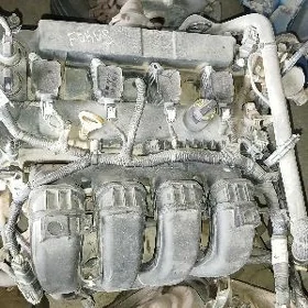 Ford Morda