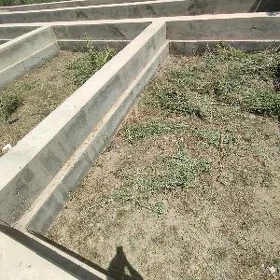 Bos mellek