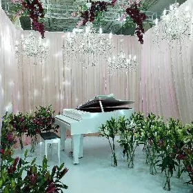Royal piano fortepiano пиан