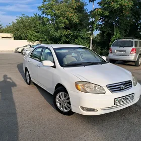 Toyota Corolla 2007