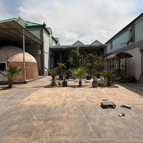 Arenda Coganly plan