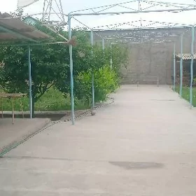 Änew oputnyý howly jaý