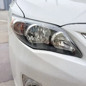 carolla fara