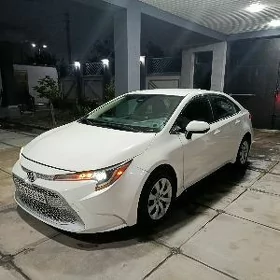 Toyota Corolla 2020