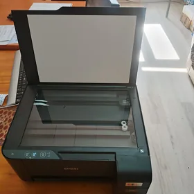 Epsan printer