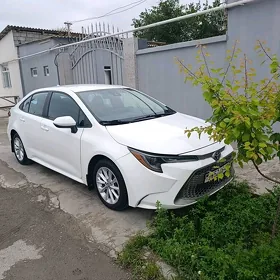 Toyota Corolla 2021