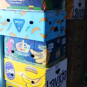 banan karopga