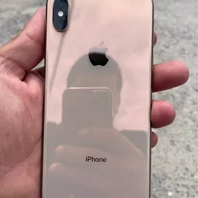 Xs max