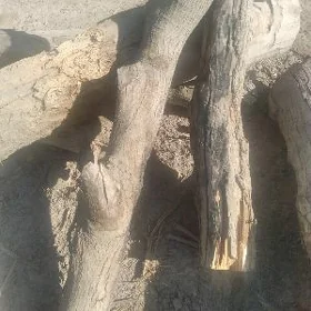 Şişlik üçün odin