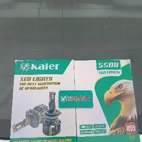 led çyra