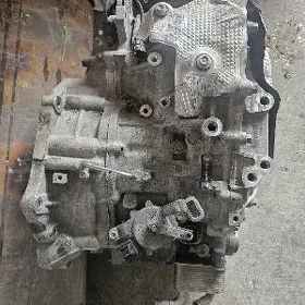 Elantra karopga