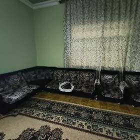 SATLYK Diwan kresli
