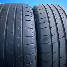 19lyk teker