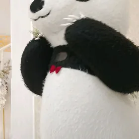 panda aýy