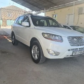 Hyundai Santa Fe 2009