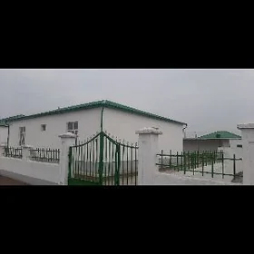 Тазе шахерче