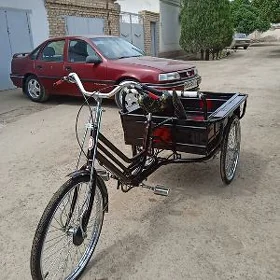 тигир