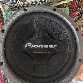 pioneer bocka